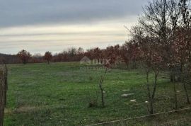 POREČ, ISTRA - Veliko poljoprivredno zemljište, Poreč, Arazi