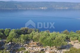 OTOK CRES - Maslinik prvi red uz more, Cres, Terra