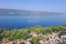 OTOK CRES - Maslinik prvi red uz more, Cres, Arazi