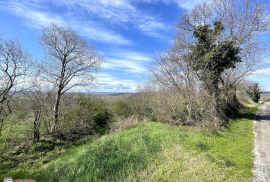 ISTRA, ŠUŠNJEVICA, GRAĐEVINSKO ZEMLJIŠTE, Kršan, Terreno