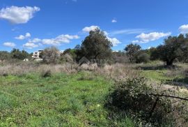 ZADAR, SV. FILIP I JAKOV - Građevinsko zemljište s pogledom na more, Sveti Filip I Jakov, Terra