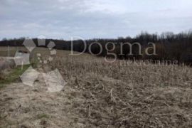 Ranch imanje 60000m², Glina, Земля