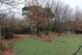 Veliko poljoprivredno zemljište na atraktivnoj lokaciji, Višnjan, Terrain