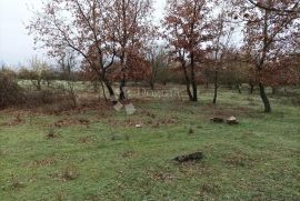 Veliko poljoprivredno zemljište na atraktivnoj lokaciji, Višnjan, أرض