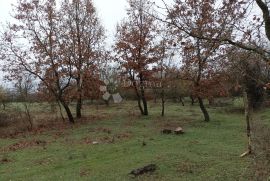 Veliko poljoprivredno zemljište na atraktivnoj lokaciji, Višnjan, Arazi
