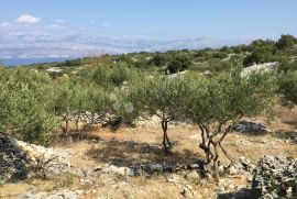 SNIŽENJE! Zemljište na Braču s građevinskom dozvolom, Supetar, Arazi