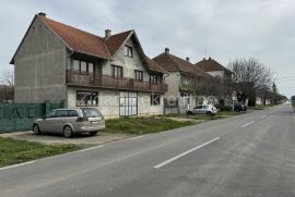 Porodična dvojna kuća, Stara Pazova, Maison