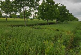 Poljoprivredno zemljište -Tenja, Osijek, Terrain