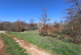 Loborika, prostrano građevinsko zemljište, Marčana, Land