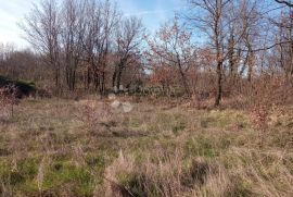 Građevinsko Zemljište u Žminju - 500m od Centra, Žminj, Terreno