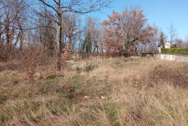 Građevinsko Zemljište u Žminju - 500m od Centra, Žminj, Land