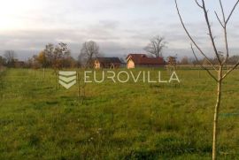 Ivanić grad, Deanovac, seosko imanje na zemljištu 35588 m2, Tierra