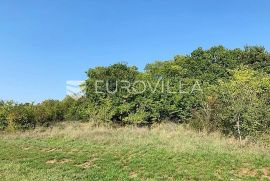 Istra, Poreč okolica poljoprivredno gospodarsko zemljište 2401 m2, Mugeba, Poreč, Land