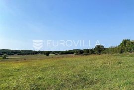 Istra, Poreč okolica poljoprivredno gospodarsko zemljište 2401 m2, Mugeba, Poreč, Zemljište