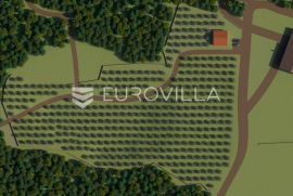 Istra, Bale, poljoprivredno zemljište 12200m2 s mogućnošću gradnje gospodarskog objekta, Bale, Terra