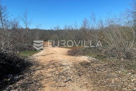 Istra, Poreč, poljoprivredno zemljište, Poreč, Terreno