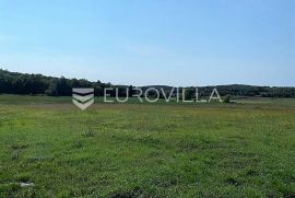 Istra, Poreč okolica poljoprivredno gospodarsko zemljište 1021 m2, Mugeba, Poreč, Γη