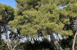 ISTRA,VINKURAN - Građevinska parcela u mirnom djelu naselja, Medulin, Terrain