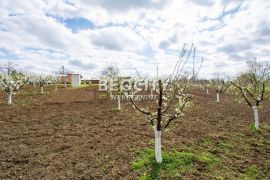 Barajevo, Vranić, Proleterskih brigada, 24a, Barajevo, Zemljište