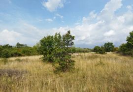 Poljoprivredno zemljište u Kanfanaru, Kanfanar, Land