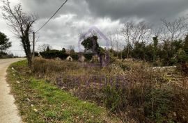 Građevinsko i poljoprivredno zemljište sa starinom, 3.211 m2, Eržišće, Kršan, Terreno