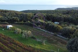 Građevinsko i poljoprivredno zemljište u Kavranu, 912 m2, Marčana, Terreno