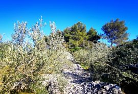 Šolta, Nečujam - građ.zemljište sa pogledom na more, 750 m2, Šolta, Land