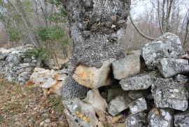 Mandriol-zemljište na predivnoj lokaciji, Vodnjan, Terrain