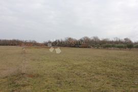 Mandriol-zemljište na predivnoj lokaciji, Vodnjan, Земля