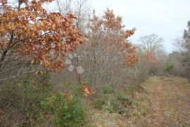 Mandriol-zemljište na lijepoj lokaciji, Vodnjan, Terreno