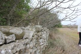 Mandriol-zemljište na lijepoj lokaciji, Vodnjan, Land