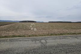Poljoprivredno zemljište Nova Ves, Petrijanec, Arazi