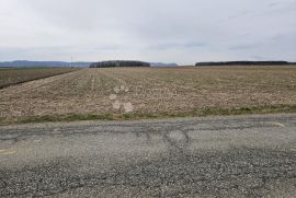 Poljoprivredno zemljište Nova Ves, Petrijanec, Land