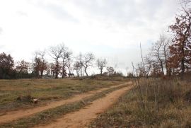 Zemljište s pogledom na zelenilo, Vodnjan, Terrain