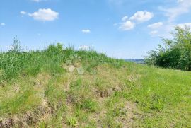 JEDINSTVENO ZEMLJIŠTE SA STAMBENOM ZGRADOM, Štrigova, Terrain