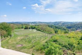 JEDINSTVENO ZEMLJIŠTE SA STAMBENOM ZGRADOM, Štrigova, Zemljište