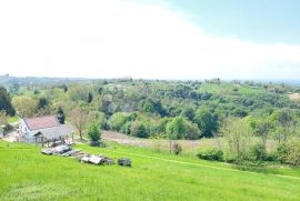 JEDINSTVENO ZEMLJIŠTE SA STAMBENOM ZGRADOM, Štrigova, Tierra