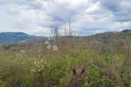Šuma u blizini Sovinjaka, Buzet, Terreno