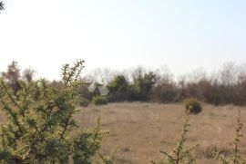 Poljoprivredno zemljište na atraktivnoj lokaciji, Vodnjan, Terreno