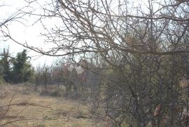 Poljoprivredno zemljište na atraktivnoj lokaciji, Vodnjan, Земля