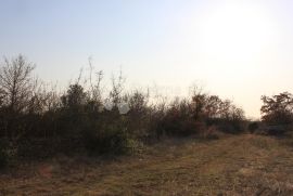 Poljoprivredno zemljište na atraktivnoj lokaciji, Vodnjan, Land