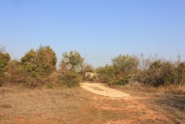 Poljoprivredno zemljište na atraktivnoj lokaciji, Vodnjan, Arazi
