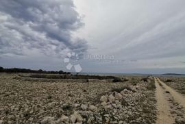 Povljana poljoprivredno zemljište 3296m2, 150 m od mora, Povljana, Terrain