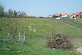 GRAĐEVINSKO ZEMLJIŠTE DUGI VRH, Gornji Kneginec, Arazi