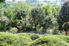 VILA NA VARAŽDINBREGU S PREKRASNIM ARBORETUMOM, Gornji Kneginec, Maison