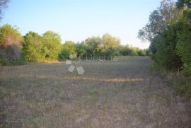 PREDIVNO ZEMLJIŠTE U BLIZINI MORA, Vodnjan, Land