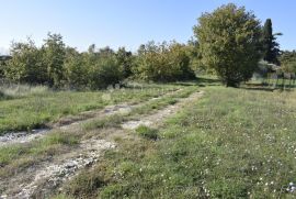 GRAĐEVINSKO ZEMLJIŠTE NA ODLIČNOJ LOKACIJI U PULI, Pula, Arazi