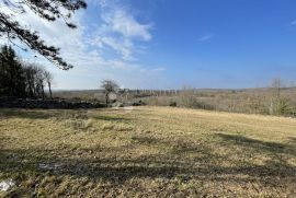 ZEMLJIŠTE SA PREDIVNIM POGLEDOM U MIRU I TIŠINI, BUJE OKOLICA, Buje, Land