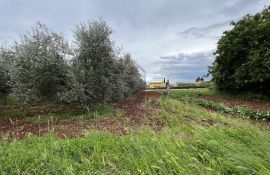 Kaštelir, zemljište sa građevinskom dozvolom za obiteljsku kuću, Kaštelir-Labinci, Arazi