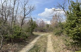 Ripenda, poljoprivredno zemljšte odmah do građevinskog, 56.000 m2, Labin, Terra